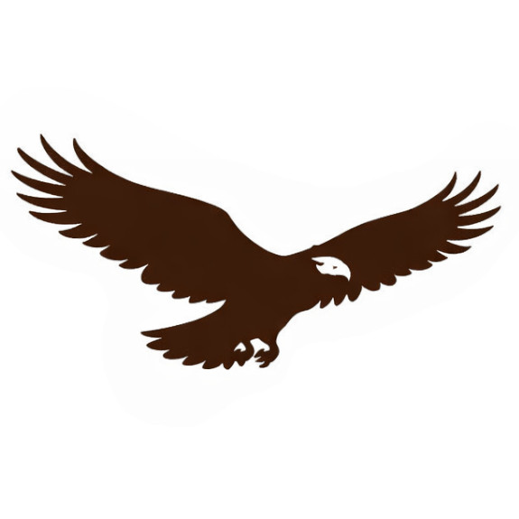 CMRADIO Logo-Eagle